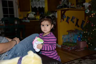 DSC_1002 (Large).JPG